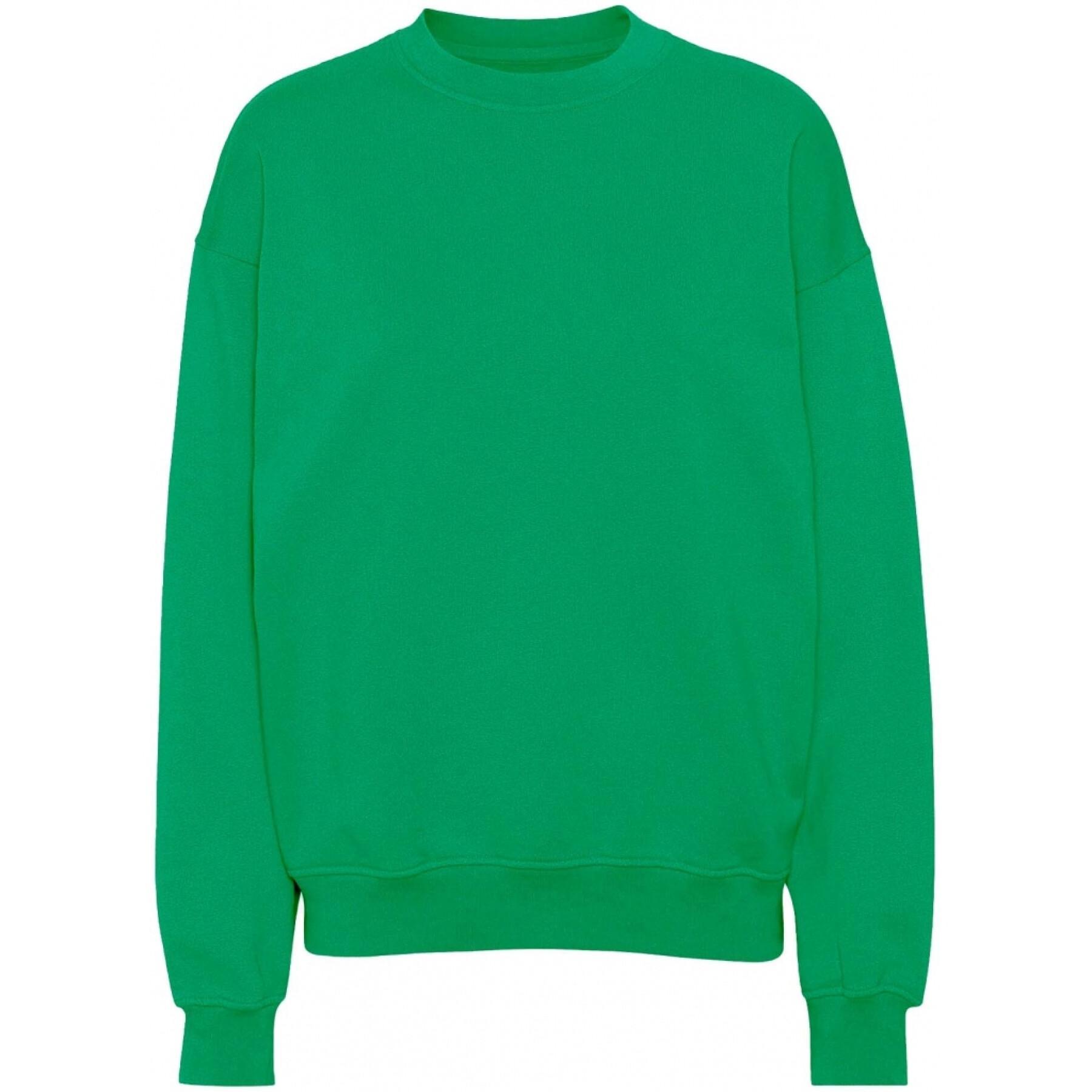 Sweatshirt med rund halsringning Colorful Standard Organic oversized kelly green