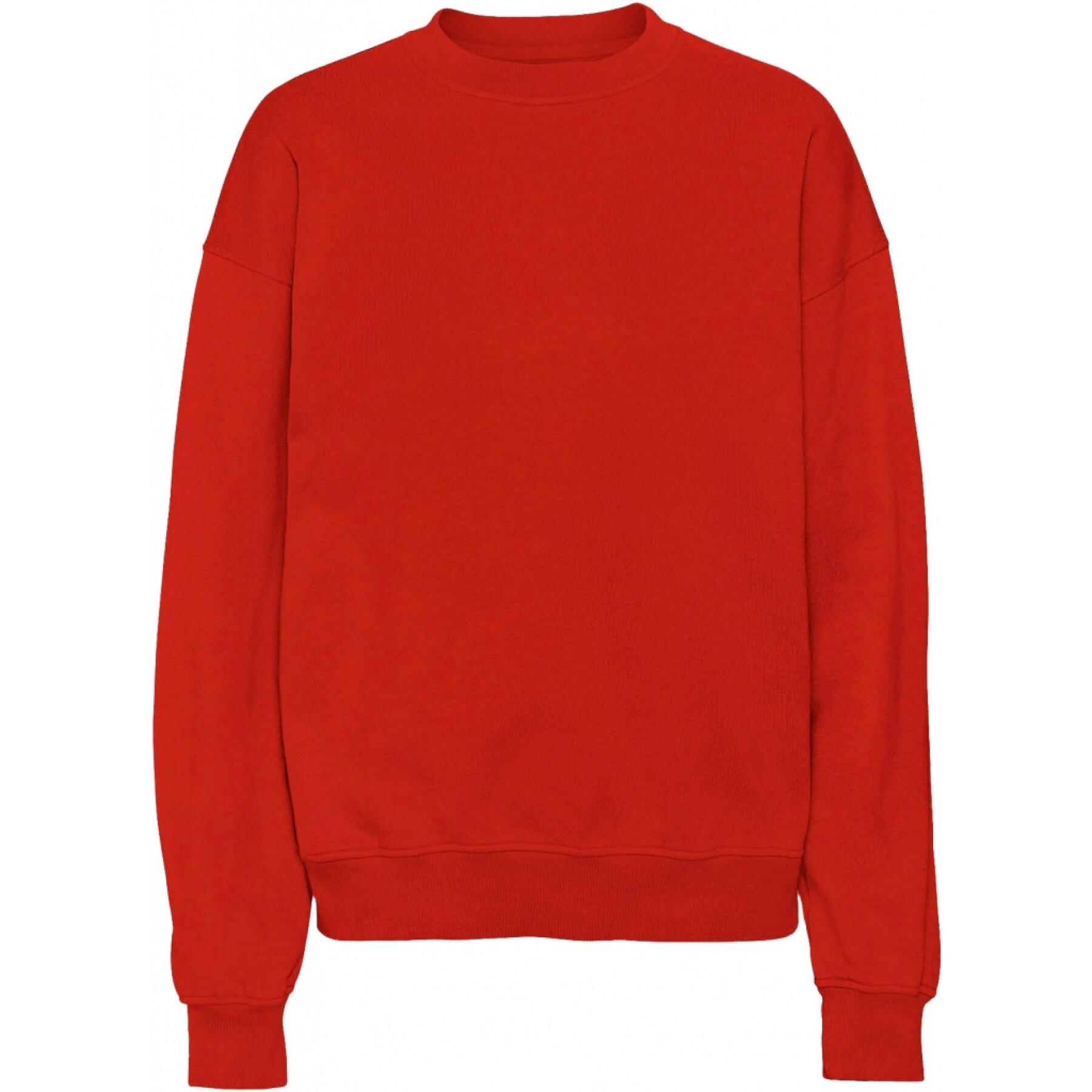 Sweatshirt med rund halsringning Colorful Standard Organic oversized scarlet red