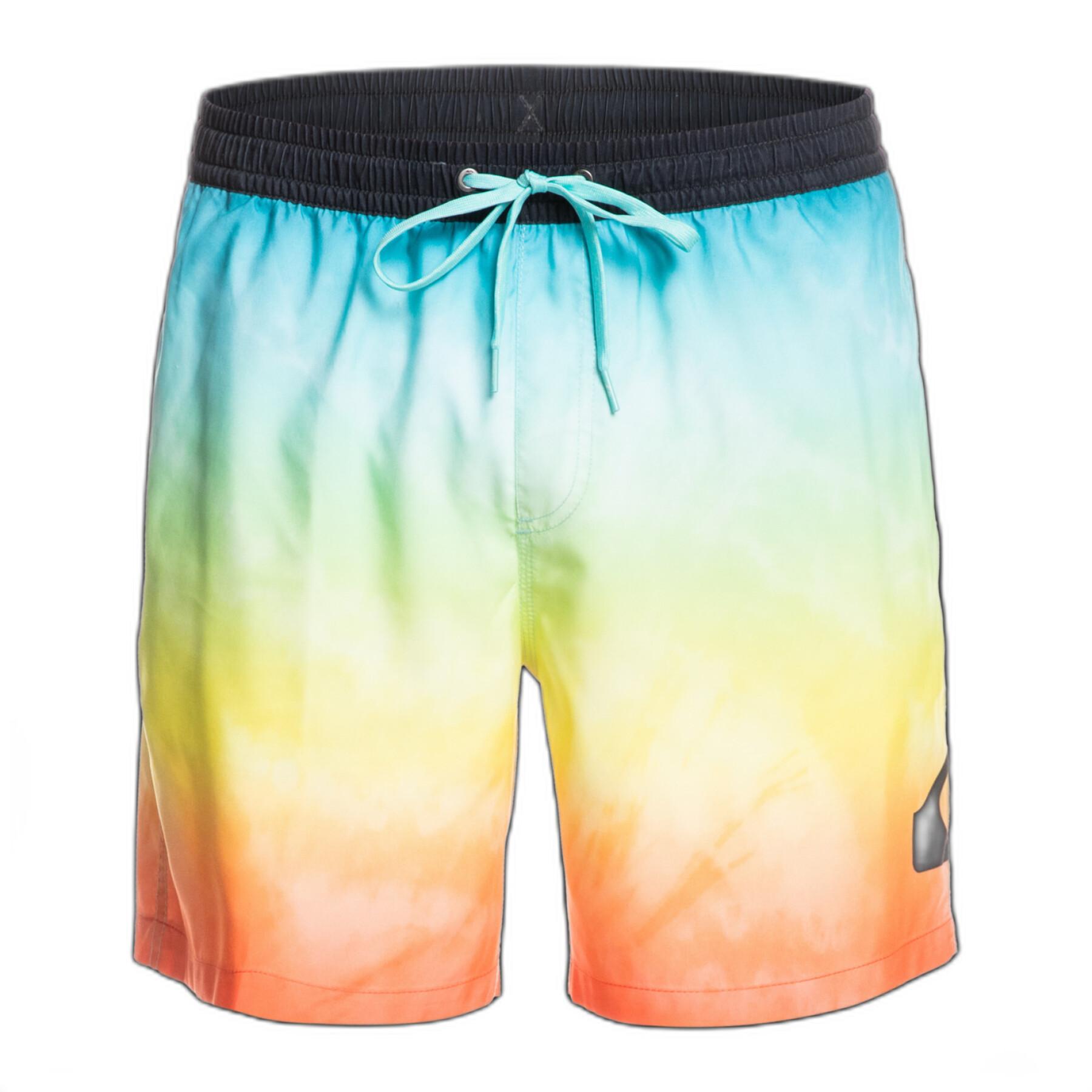 Badshorts Quiksilver Everyday Faded Logo Volley