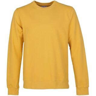 Sweatshirt med rund halsringning Colorful Standard Classic Organic burned yellow