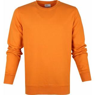 Sweatshirt med rund halsringning Colorful Standard Classic Organic burned orange