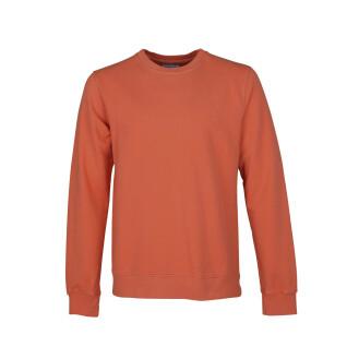 Sweatshirt med rund halsringning Colorful Standard Classic Organic dark amber