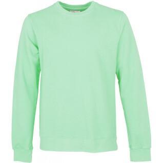 Sweatshirt med rund halsringning Colorful Standard Classic Organic faded mint