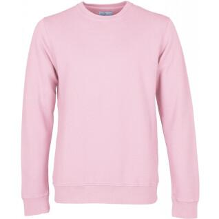 Sweatshirt med rund halsringning Colorful Standard Classic Organic flamingo pink