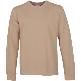 Sweatshirt med rund halsringning Colorful Standard Classic Organic honey beige