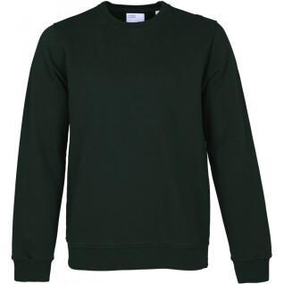 Sweatshirt med rund halsringning Colorful Standard Classic Organic hunter green