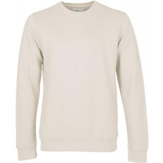 Sweatshirt med rund halsringning Colorful Standard Classic Organic ivory white