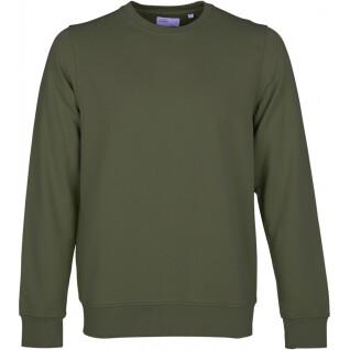 Sweatshirt med rund halsringning Colorful Standard Classic Organic seaweed green