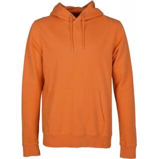 Sweatshirt med huva Colorful Standard Classic Organic burned orange