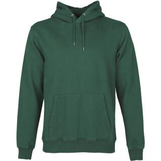 Sweatshirt med huva Colorful Standard Classic Organic emerald green