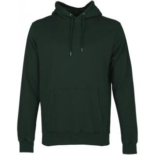Sweatshirt med huva Colorful Standard Classic Organic hunter green