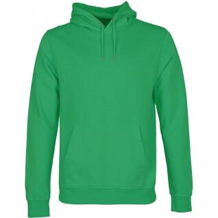 Sweatshirt med huva Colorful Standard Classic Organic kelly green
