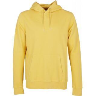 Sweatshirt med huva Colorful Standard Classic Organic lemon yellow