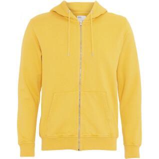 Sweatshirt med huva och dragkedja Colorful Standard Classic Organic lemon yellow