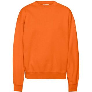 Sweatshirt med rund halsringning Colorful Standard Organic oversized burned orange