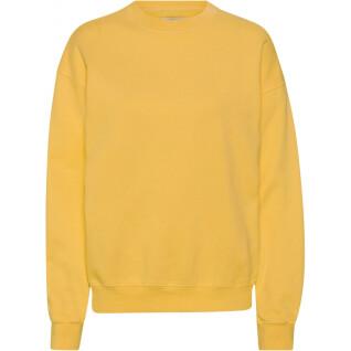 Sweatshirt med rund halsringning Colorful Standard Organic oversized burned yellow