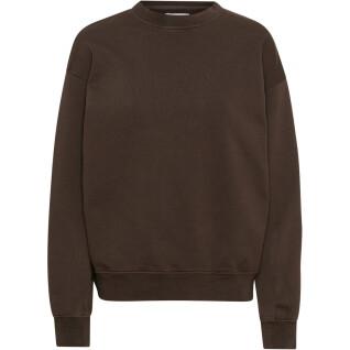 Sweatshirt med rund halsringning Colorful Standard Organic oversized coffee brown