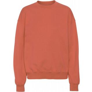 Sweatshirt med rund halsringning Colorful Standard Organic oversized dark amber