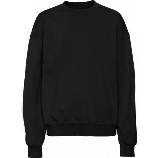 Sweatshirt med rund halsringning Colorful Standard Organic oversized deep black