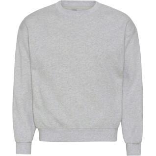 Sweatshirt med rund halsringning Colorful Standard Organic oversized heather grey