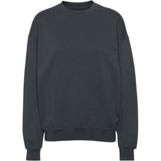 Sweatshirt med rund halsringning Colorful Standard Organic oversized lava grey