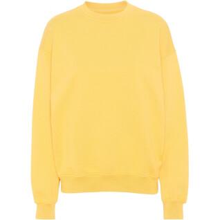 Sweatshirt med rund halsringning Colorful Standard Organic oversized lemon yellow