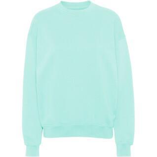 Sweatshirt med rund halsringning Colorful Standard Organic oversized light aqua