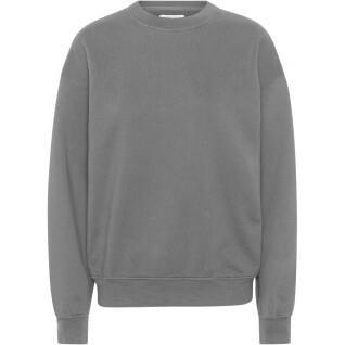Sweatshirt med rund halsringning Colorful Standard Organic oversized storm grey