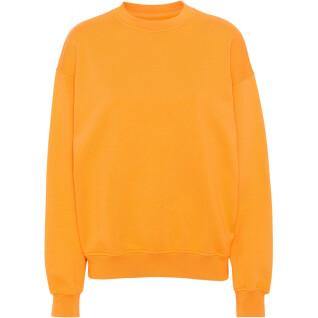 Sweatshirt med rund halsringning Colorful Standard Organic oversized sunny orange