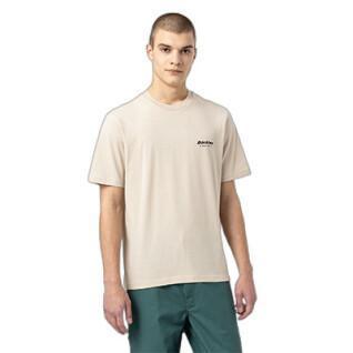 Kortärmad T-shirt Dickies Artondale Box