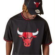 Kortärmad T-shirt Chicago Bulls Mesh Logo