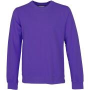 Sweatshirt med rund halsringning Colorful Standard Classic Organic ultra violet