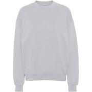 Sweatshirt med rund halsringning Colorful Standard Organic oversized limestone grey